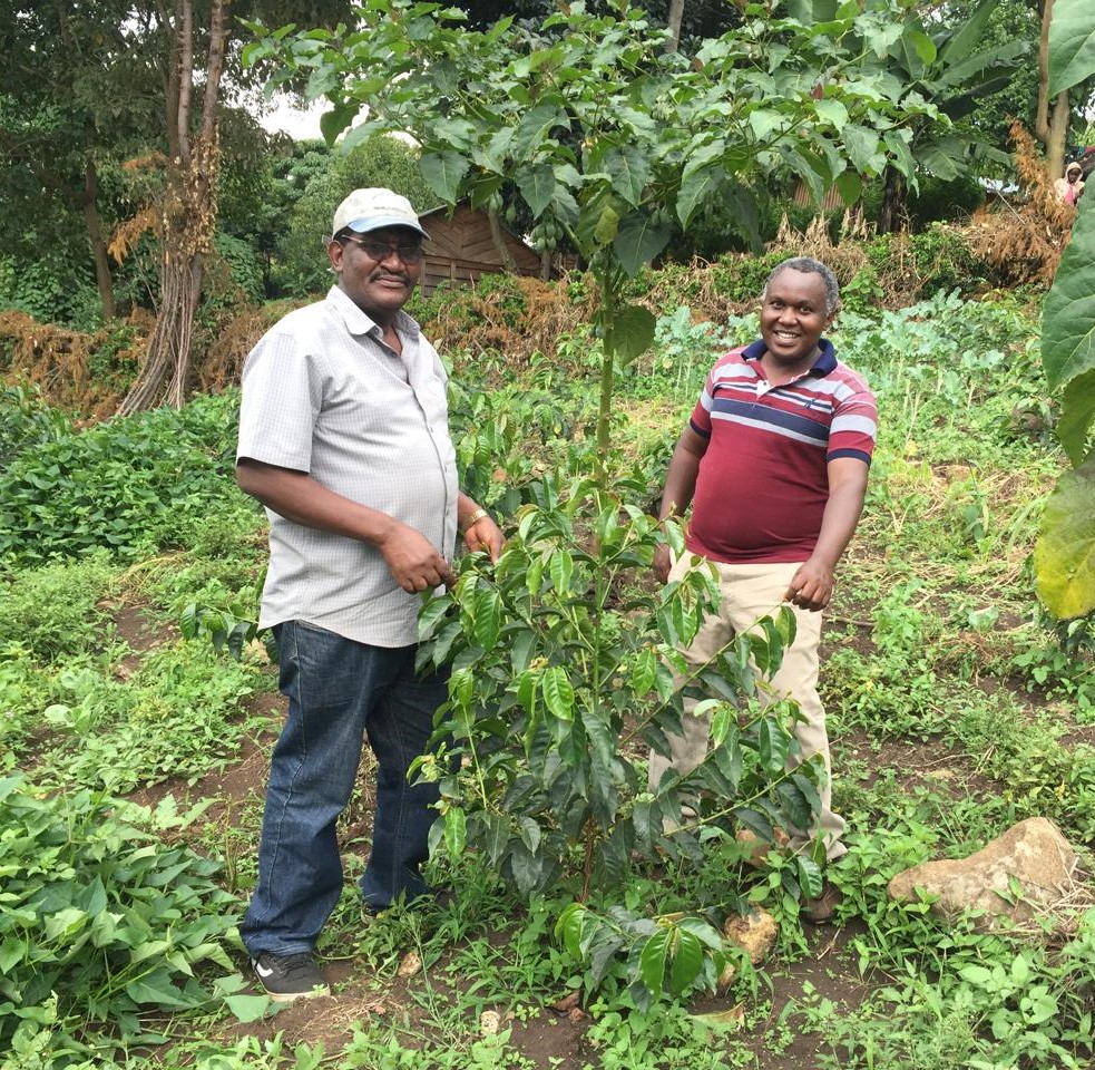 Welcome to Agri-Solutions Enterprises Ltd (ASEL)